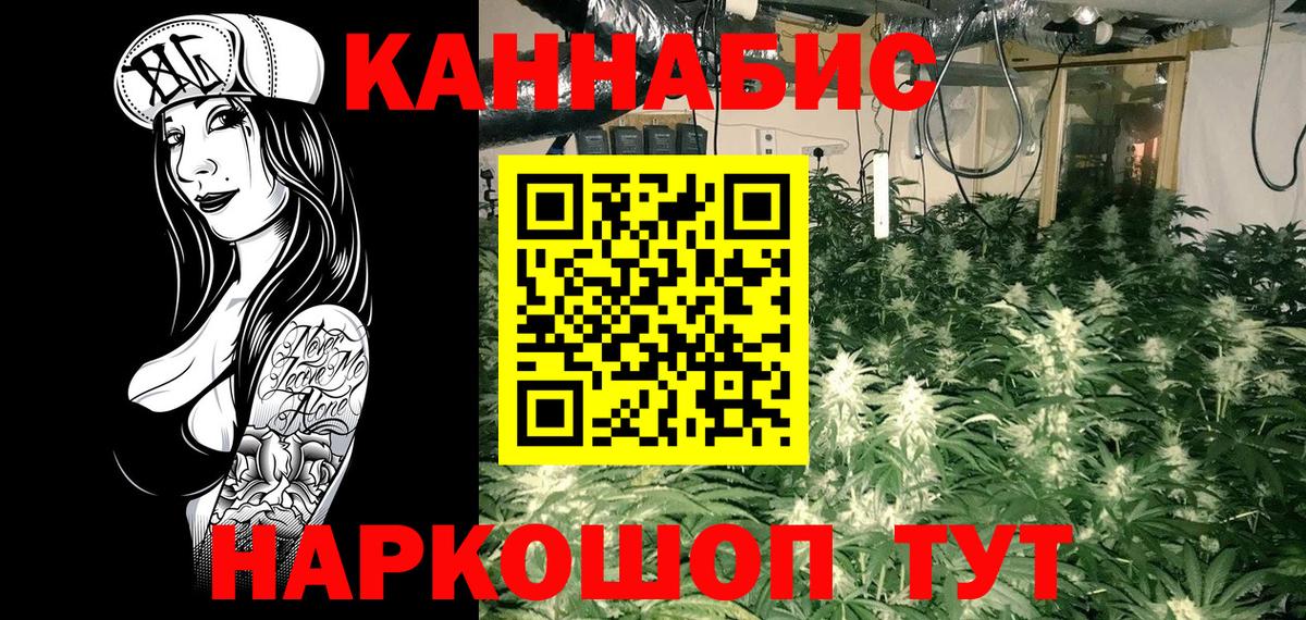 Конопля сатива  Бошки Шишки VHQ  Саратов  Бошки Шишки семена  Вход с VPN 